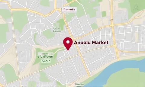 Map showing Anadolu Market headquarters