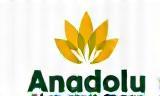 Anadolu Market Online Logo